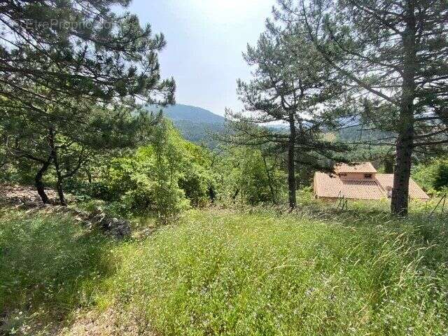 Vente Terrain Soubes(34700) 145 000ï¿œ - photo 5