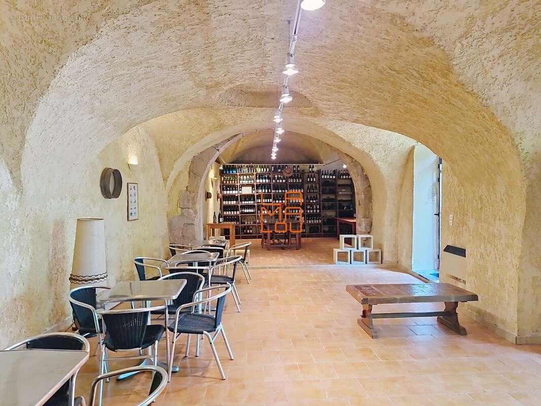 Maison de Maitre, pleine de Charme, avec jardin, cour, dépendances... - photo 12