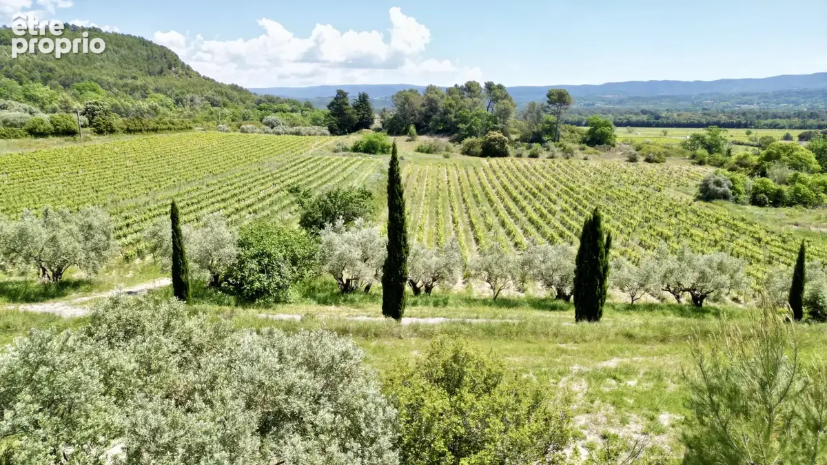 Ventoux   Domaine viticole de renom sur 18 ha - intimiste et vue dominante - photo 3