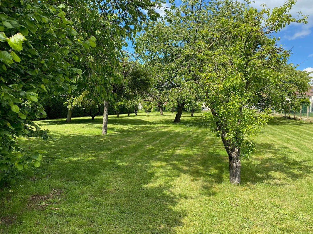 Terrain à HOUDAN