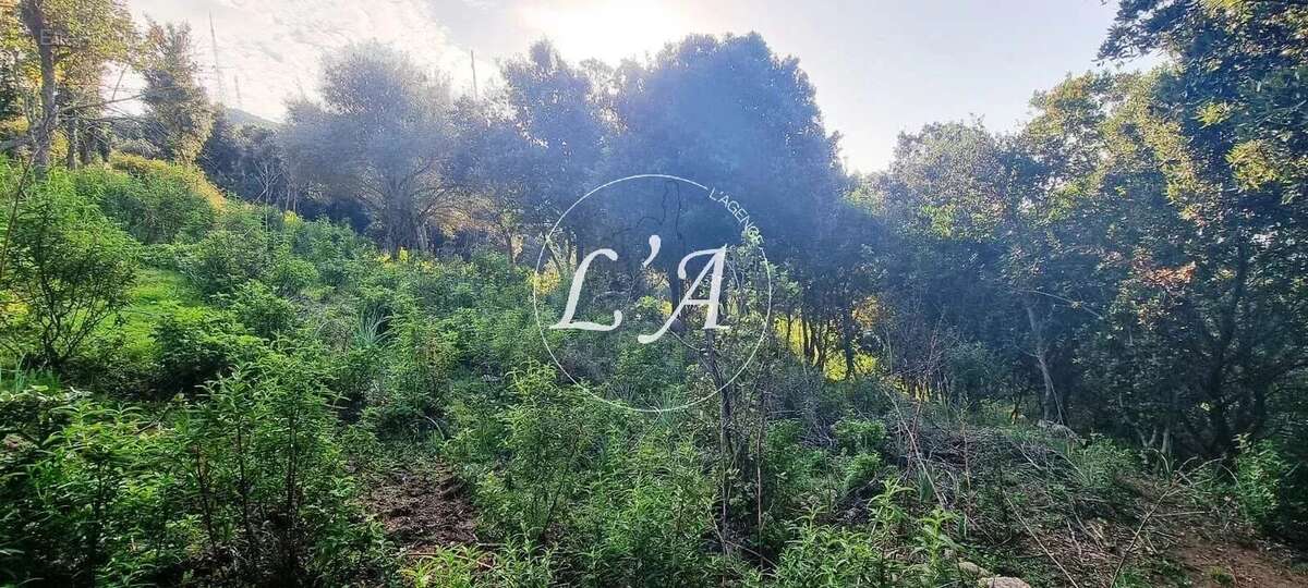 Terrain à COTI-CHIAVARI