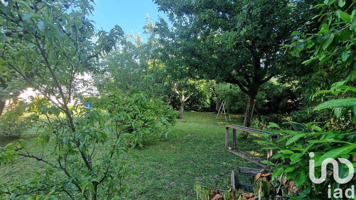 Photo 5 - Terrain à SARZEAU