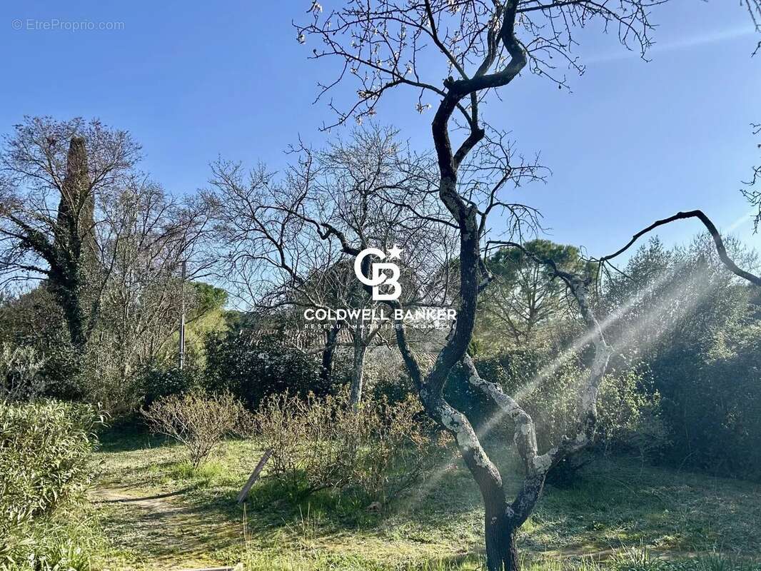 Terrain à CASTELNAU-LE-LEZ