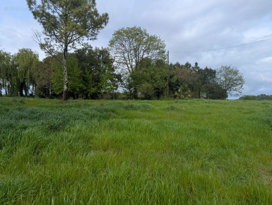 Terrain à SAINT-SIMON-DE-BORDES