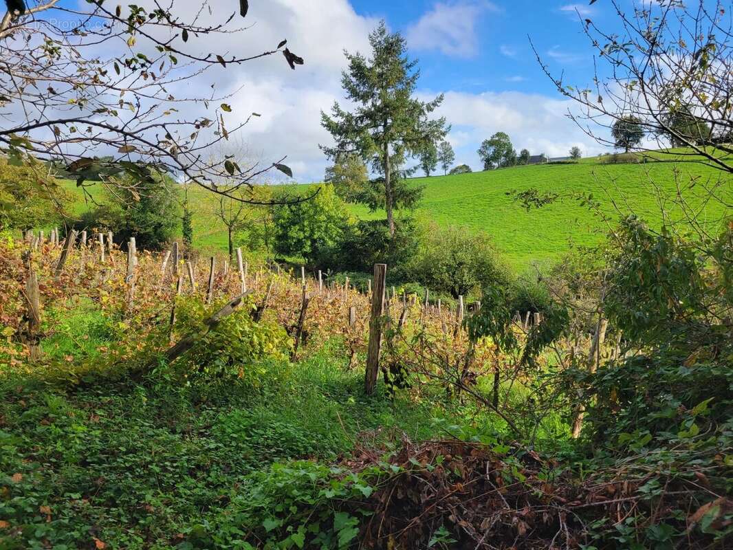 Maison à LA FOUILLADE