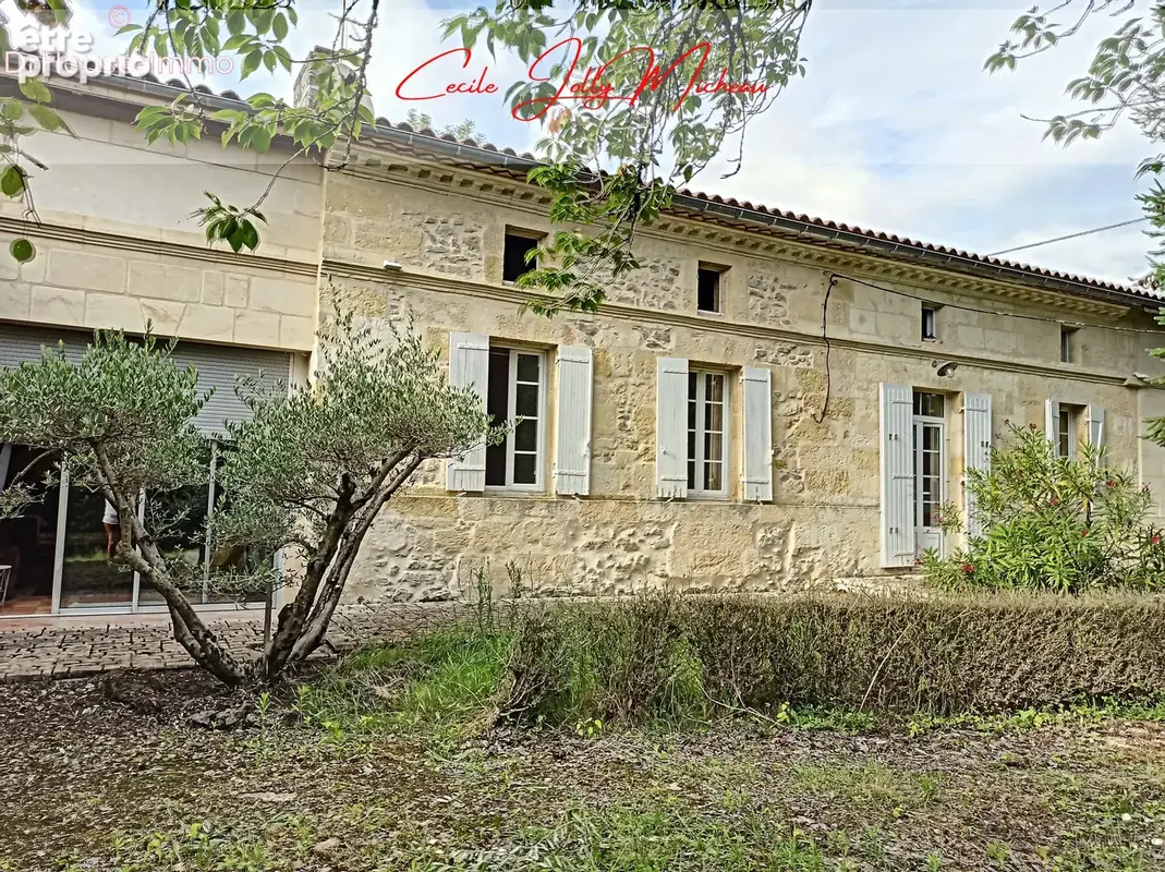Maison 8 pièces 245 m² à vendre à Saint-Savin (33920) - photo 36