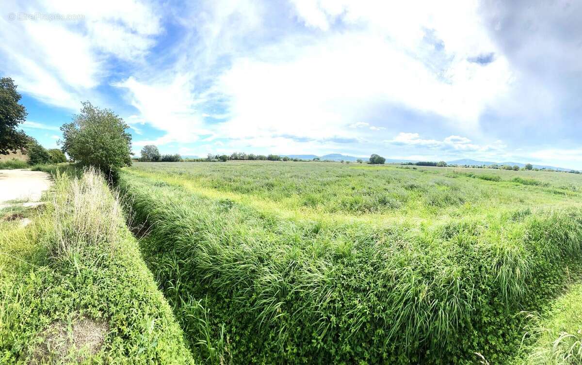 Photo 3 - Maison à PERTUIS