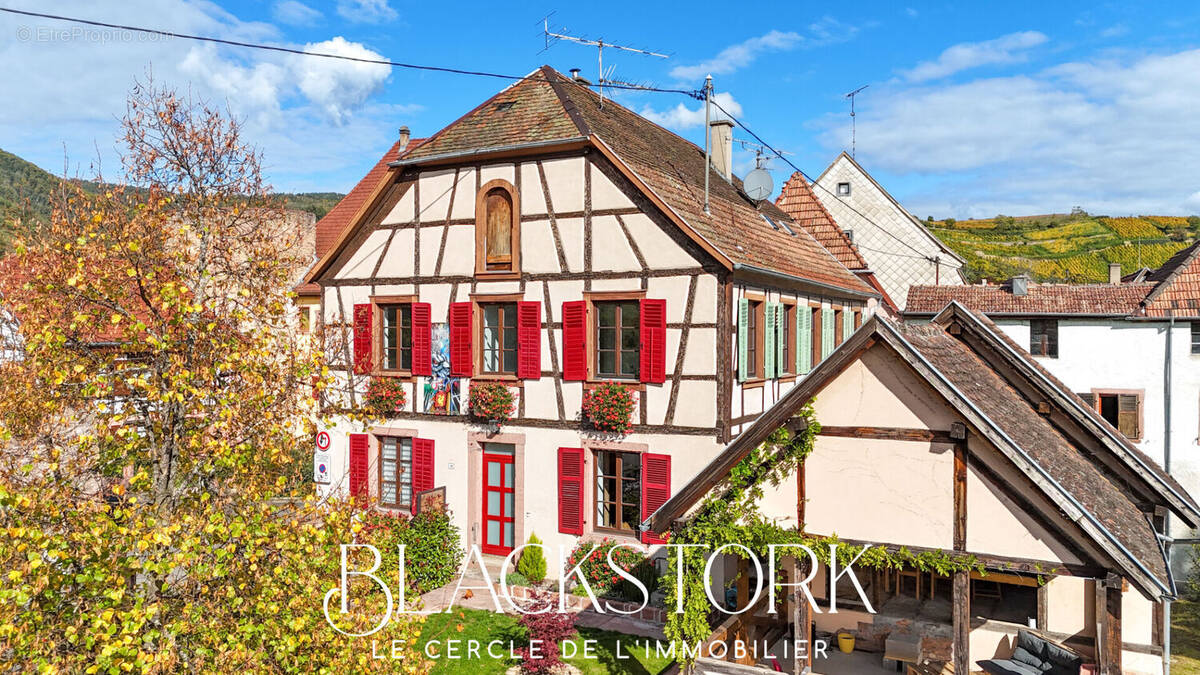 Maison à RIBEAUVILLE