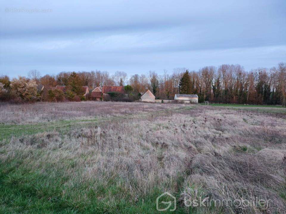 Terrain à TRANCAULT