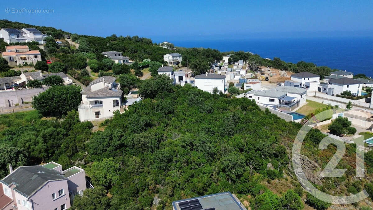 Terrain à SANTA-MARIA-DI-LOTA