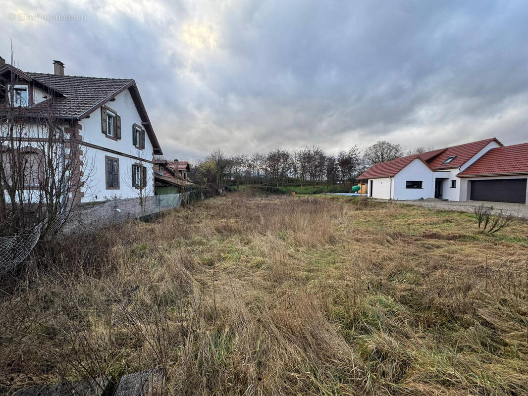 Terrain à NIEDERNAI