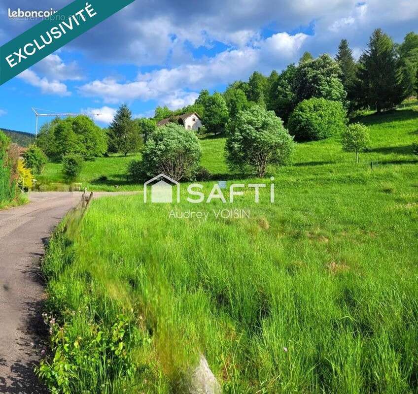 Photo 2 - Terrain à SAINT-MAURICE-SUR-MOSELLE
