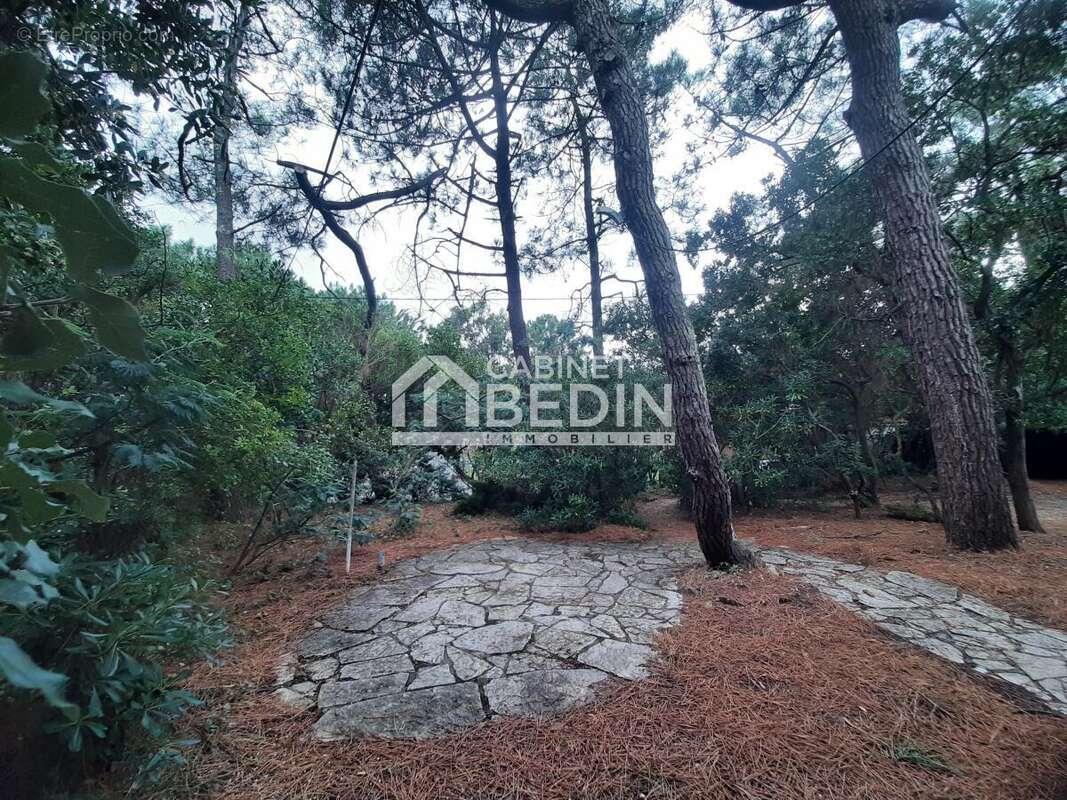 Maison à LEGE-CAP-FERRET