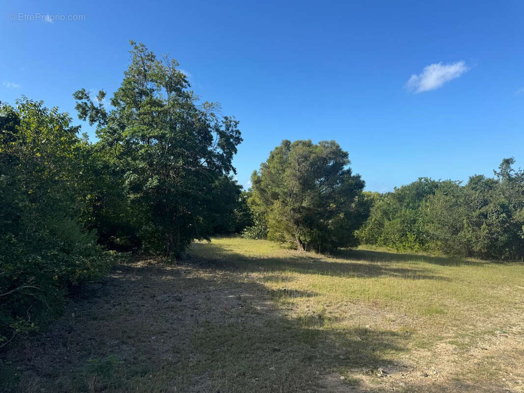 Terrain à SAINT-MARTIN