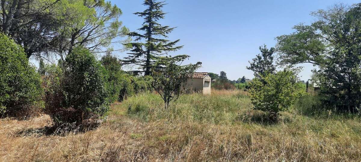 Projet de construction d'une maison  m² avec terrain à SAINTE-CECILE-LES-VIGNES (84) - photo 2