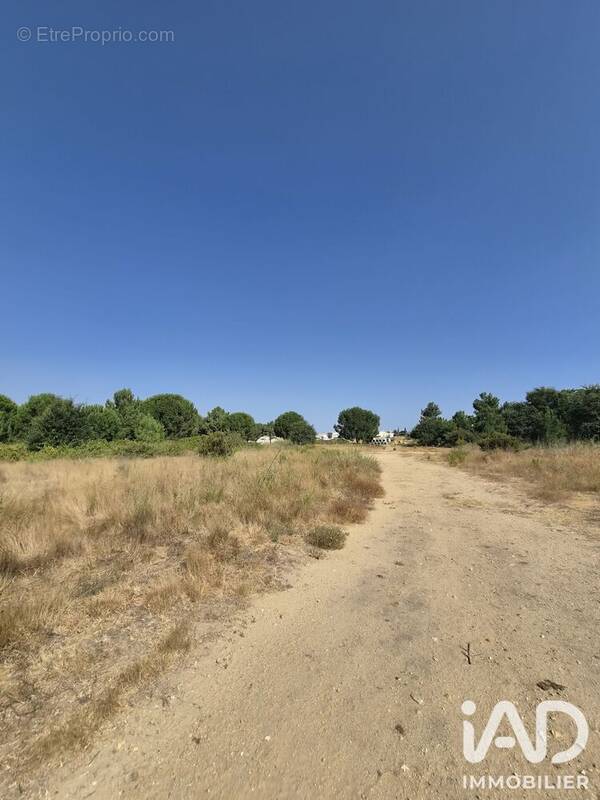 Photo Terrain à Latour-Bas-Elne au prix de 158 000€