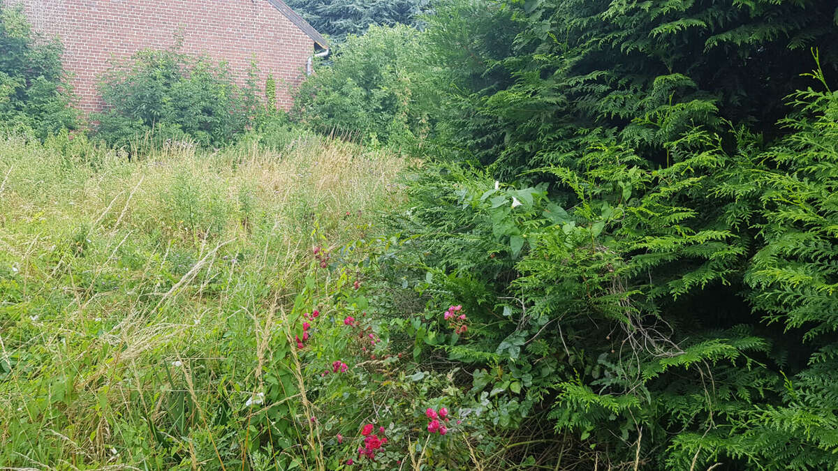 Secteur Bertincourt - photo 8