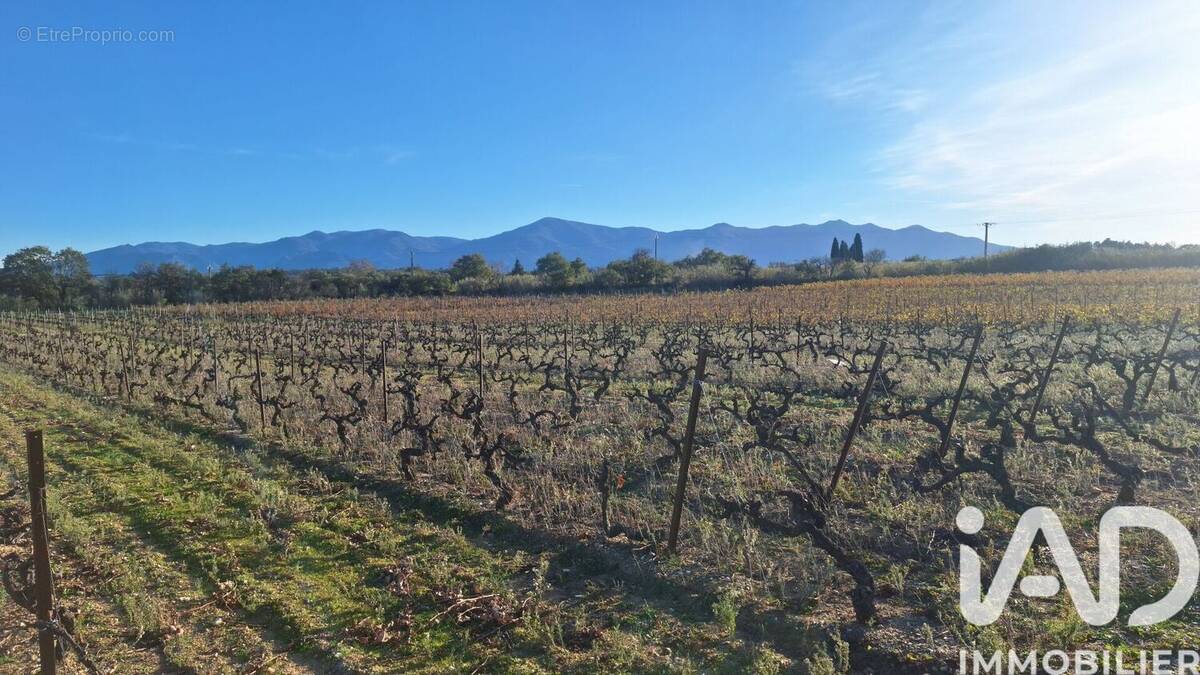 Photo 1 - Terrain à BAGES