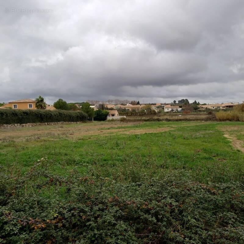 Terrain à PUISSERGUIER