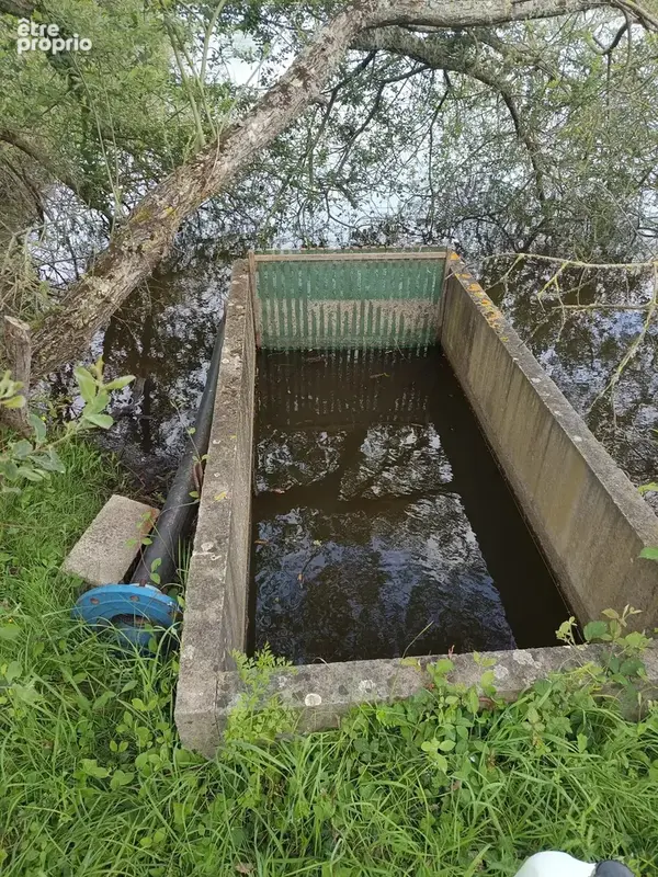 2 etangs au milieu de la verdure - photo 6