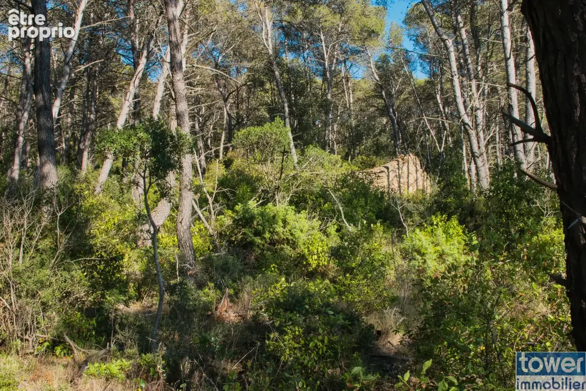 Fabrezan-Terrain 4 ha non constructible en Zone Naturelle - photo 16