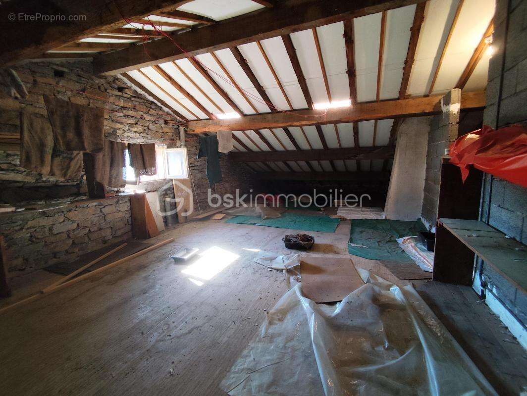 Grande maison avec appartement - photo 22
