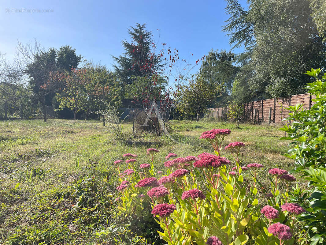 Maison à SAINT-AVERTIN