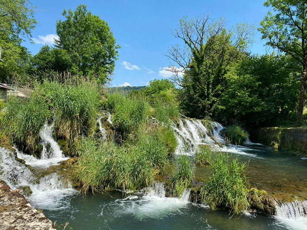 RARE sur Arbois : 2 maisons avec un ancien moulin - photo 3