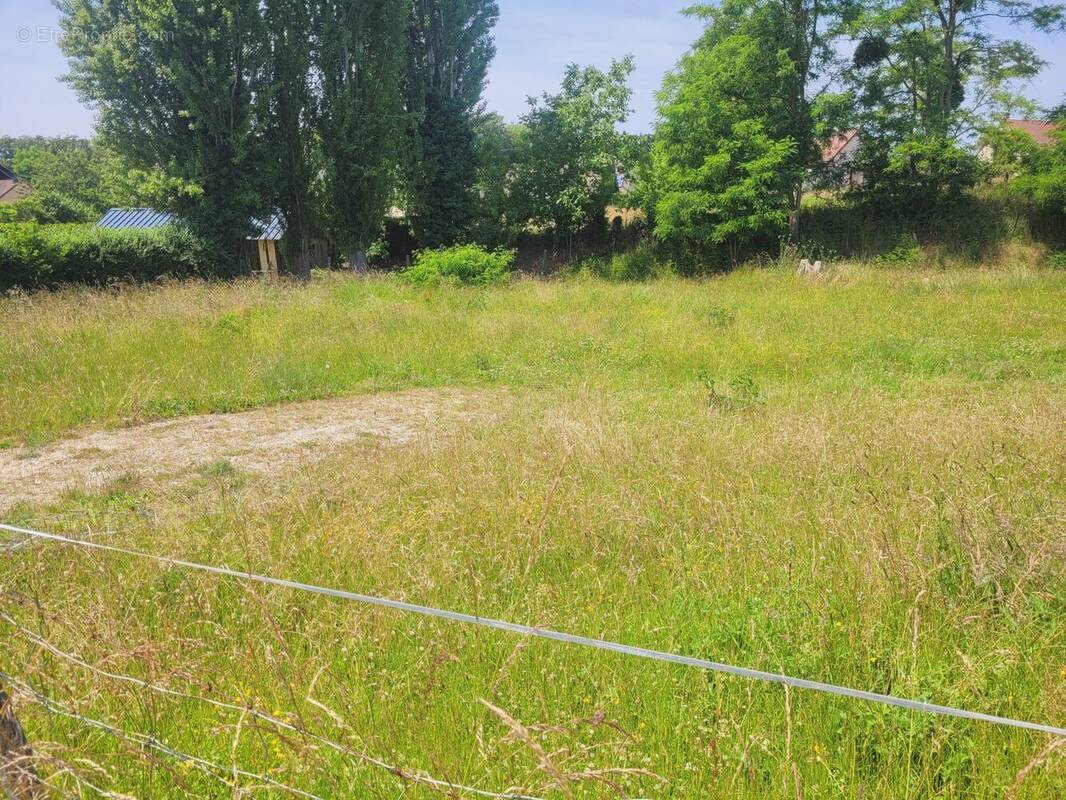 Terrain à LA HAYE-MALHERBE