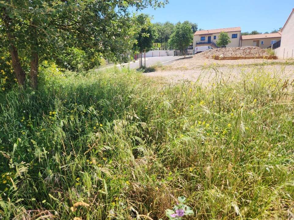 Terrain 361 m² à Corbere  - photo 3