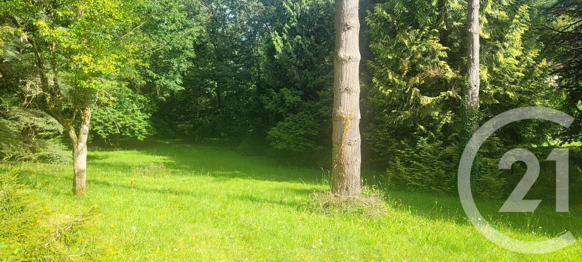 Terrain à SAINT-HILARION