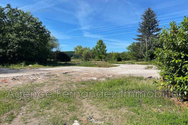Terrain 4917 m² à Bourg-Le-Comte  - photo 7