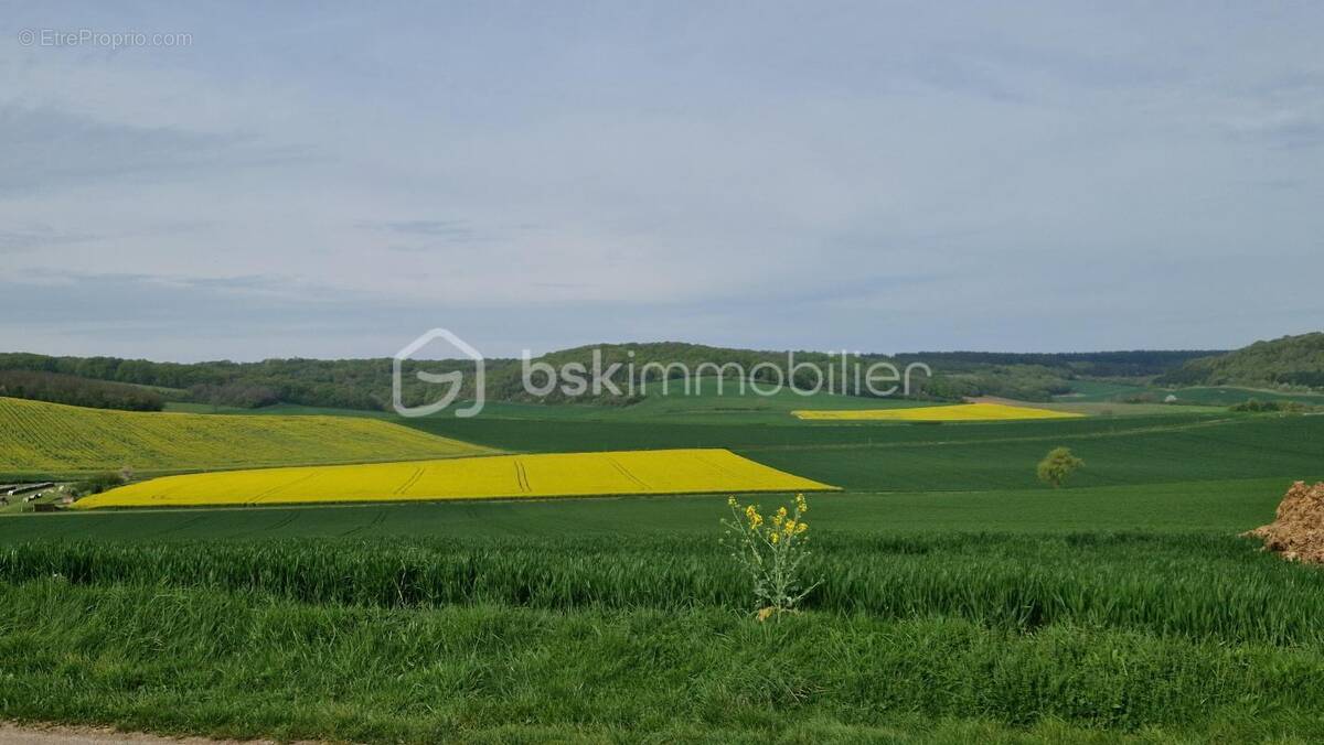 Terrain à CHAILLEY