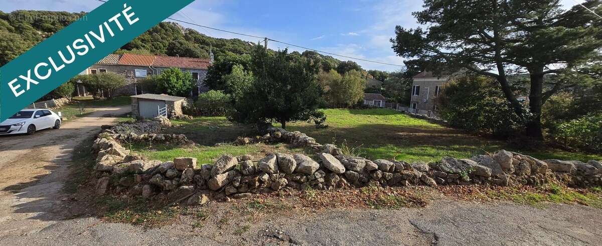 Photo 4 - Maison à SARTENE