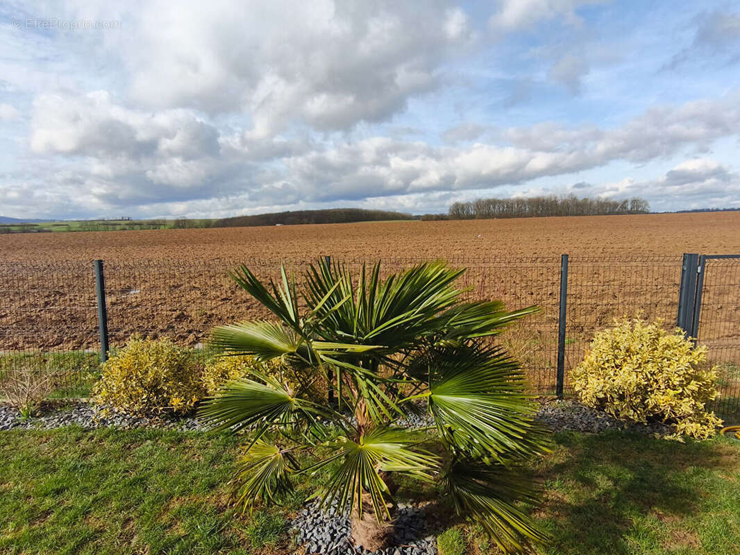 Maison 125 m² à Rodemack  - photo 2