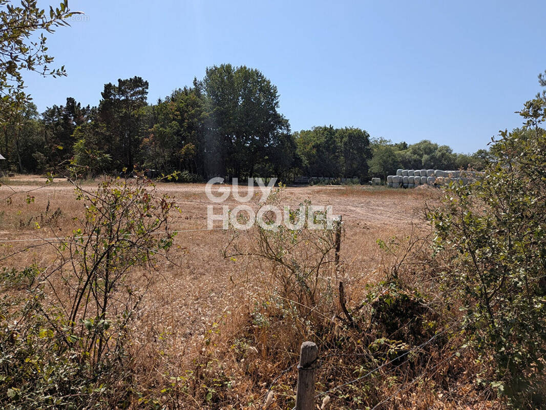Terrain à SAINT-HILAIRE-DE-RIEZ