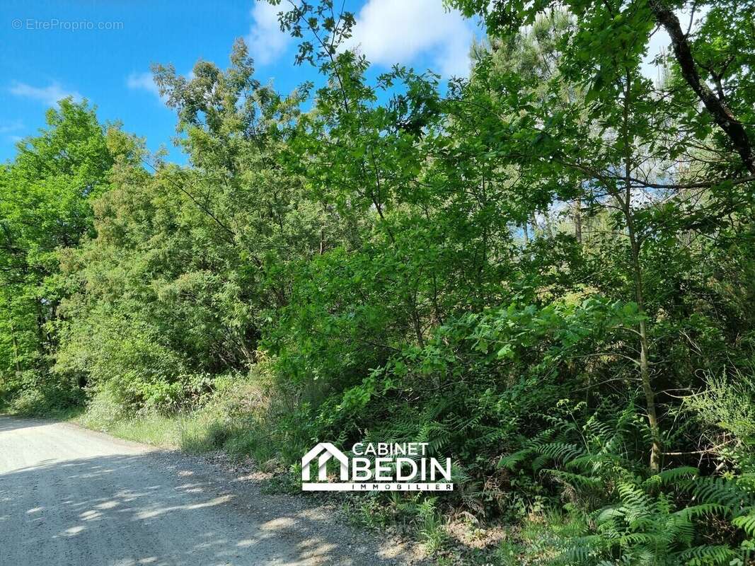Terrain 5544 m² à Audenge  - photo 4
