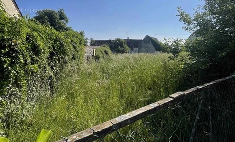 Terrain à EGREVILLE