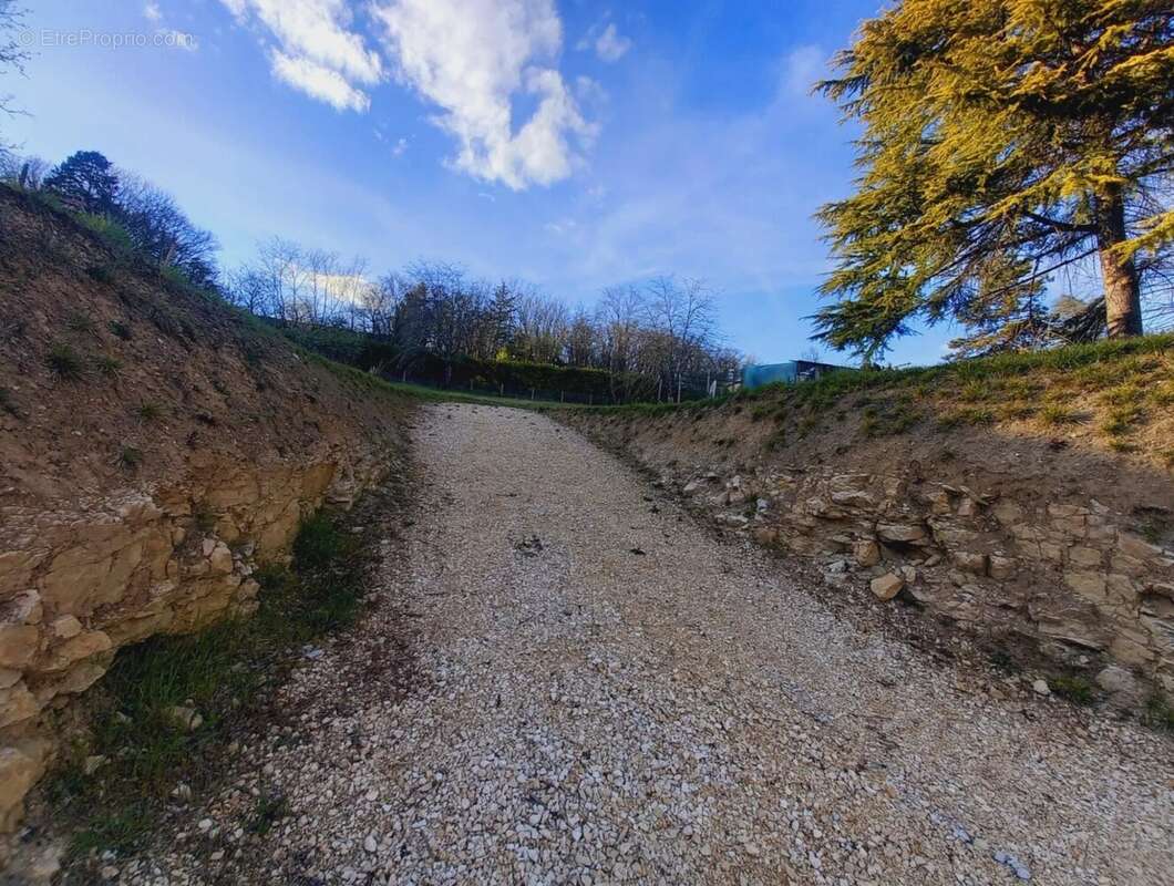 Terrain à CHAMPNIERS