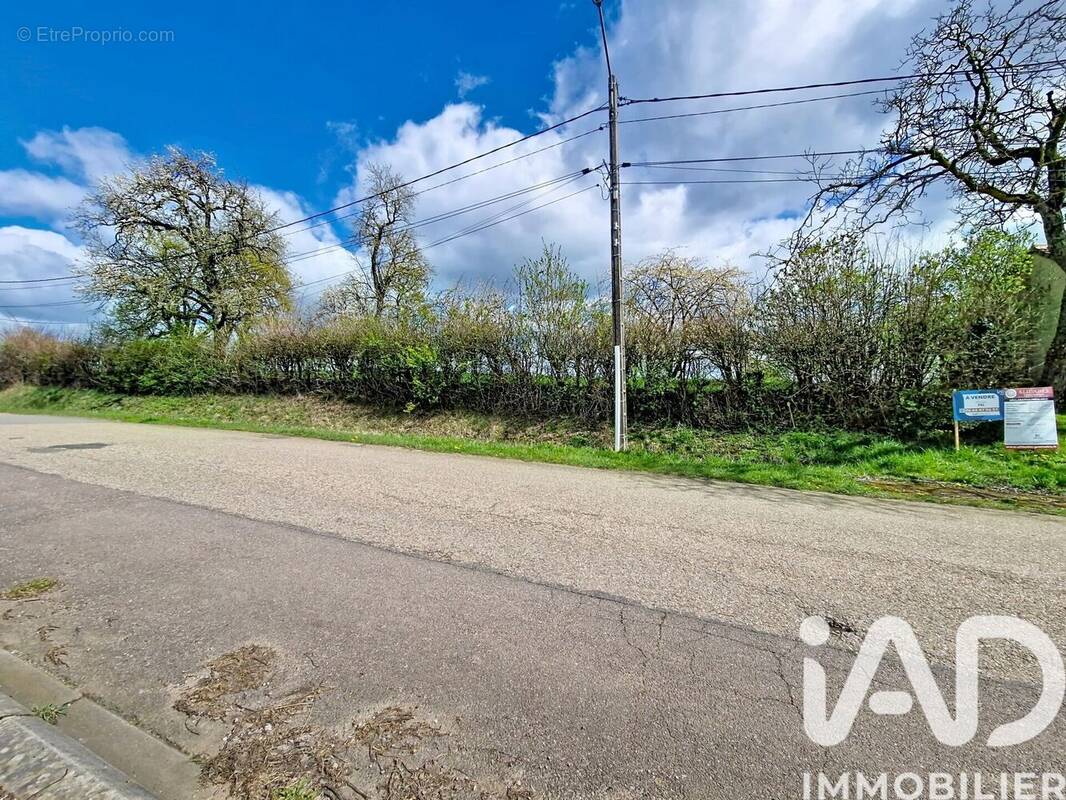 Photo 1 - Terrain à JOUAVILLE