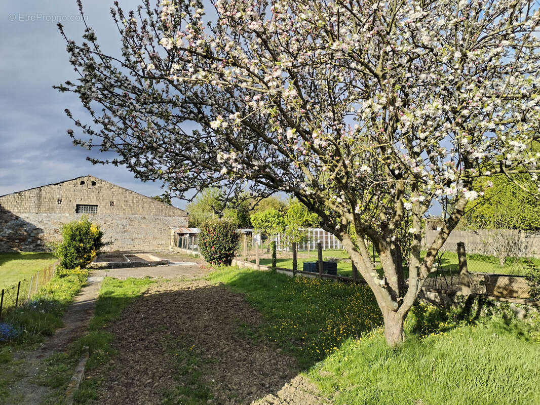 Terrain constructible 526 m2 - photo 3