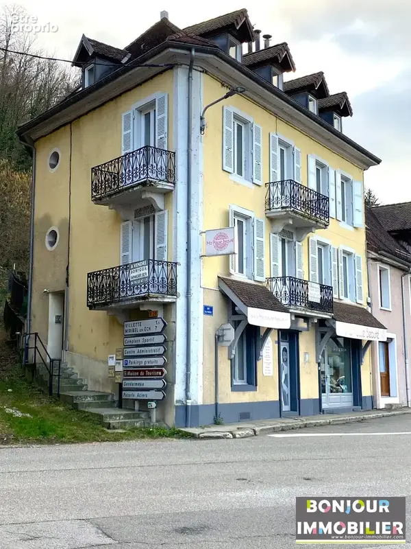 Appartement 349 m² à vendre à Saint-Laurent-Du-Pont (38380) - photo 1
