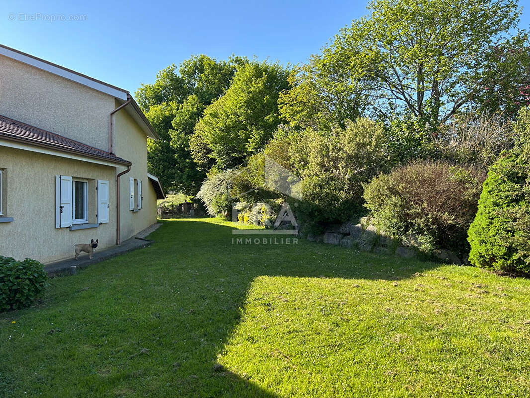 Maison 176m² à varambon - photo 14