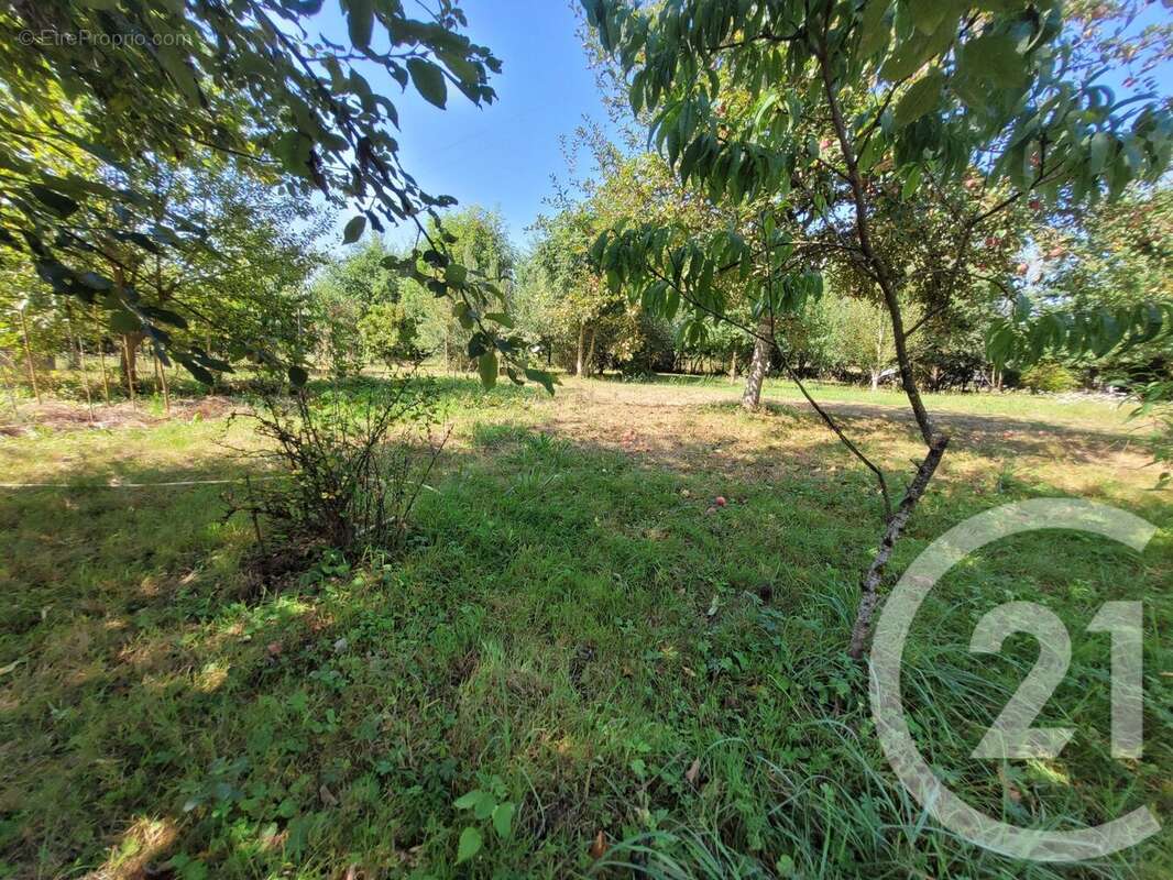 Maison 431 m² à Montpont-En-Bresse  - photo 21
