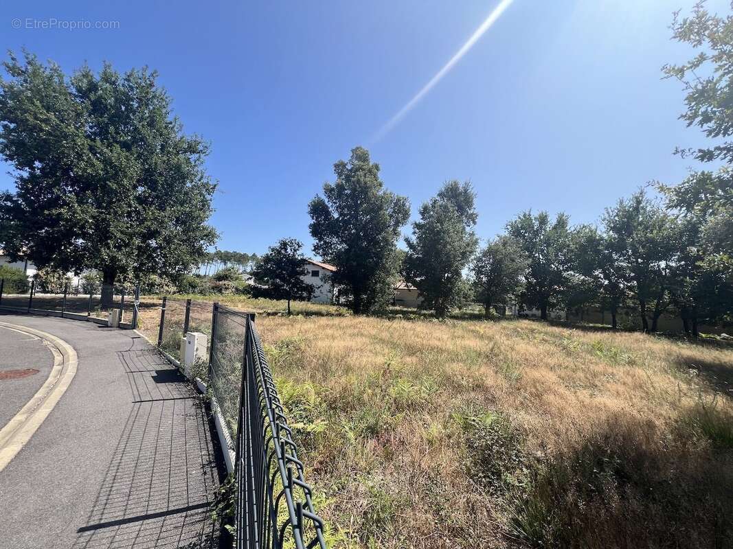 Terrain à VIELLE-SAINT-GIRONS