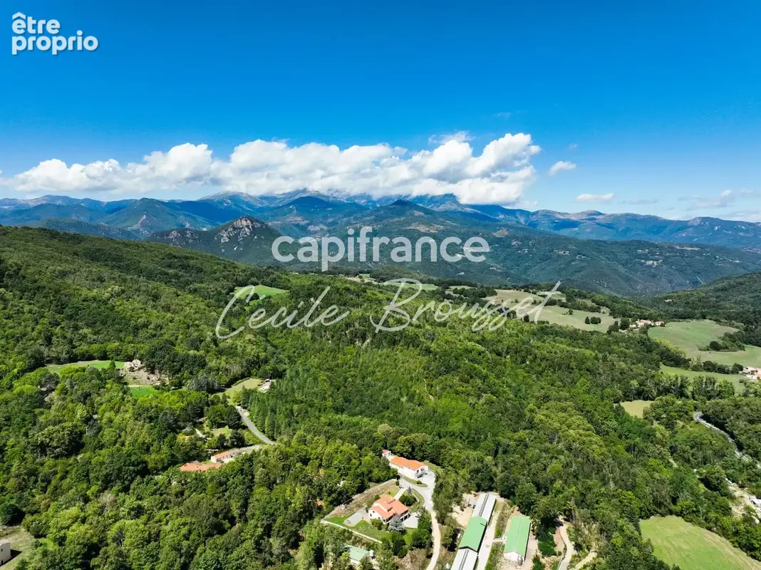 Saint-laurent-de-cerdans 66260 – mas de caractère de 250 m2 – 5 hectares – piscine – sources – dépendances - photo 31