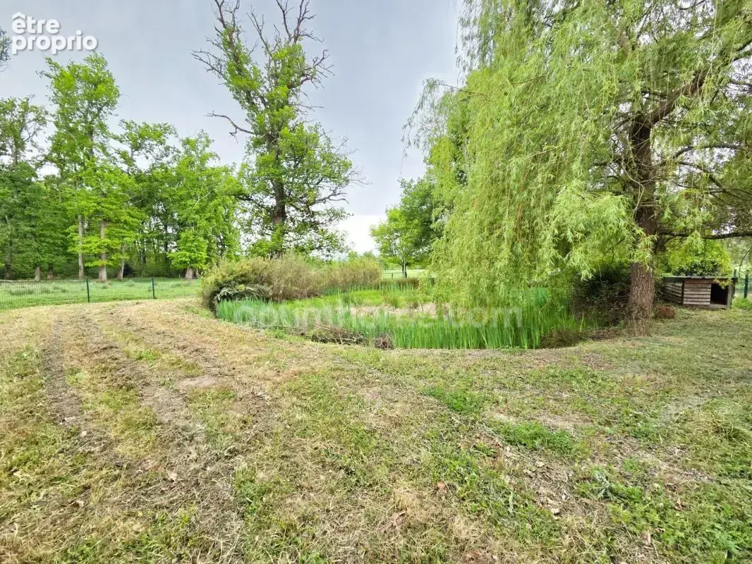 *** exclusivite *** propriete rare : maison dependances et terrain *** saint-jean-d'heurs 63190 *** - photo 17