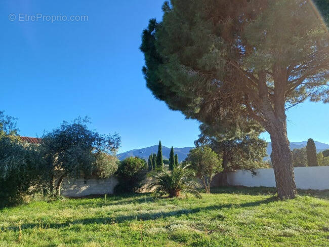 Terrain à BAGES