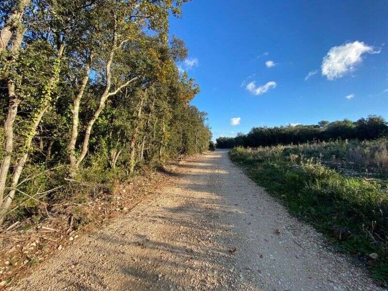 Photo 3 - Terrain à LE PIN