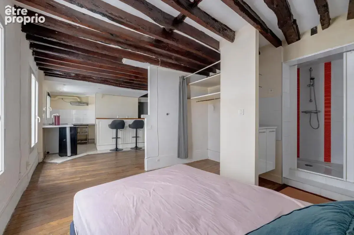Paris 10 - strasbourg-saint-denis - 2 pieces 36,39 m² - photo 10